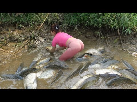 Interesting Fishing In The Wild | Use Bait to Attract Fish,