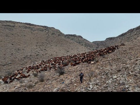 YÜKSEK DAĞLARDAN ARAS HAVZASINA İNİYORUZ- ÇAMURLU TOPRAKLAR