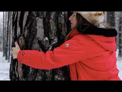 Russian Forest Love Date with a Tree