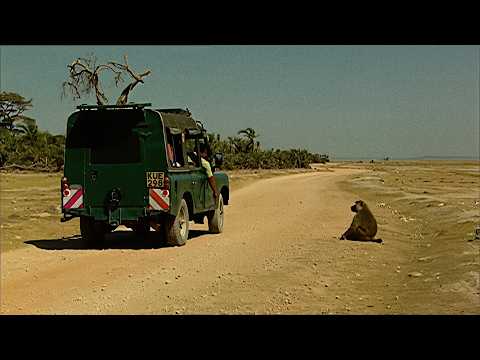 KENYA : Le plus grand safari d'Afrique