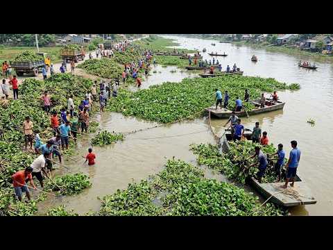 Removing heavy aquatic weeds to prevent flooding and keep