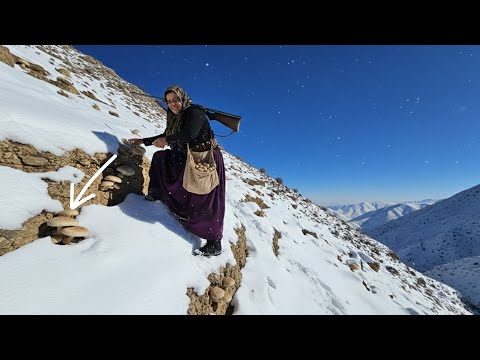 Le périple périlleux de Kolthum dans la neige : à la