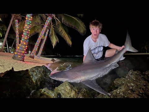 5 Days in the Florida Tropics - Giant Sharks, Catch N Cooks