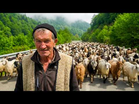 Muhammet'in Keçi Sürüsü Belgesel Film
