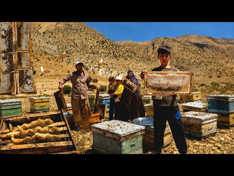 They Risked the Mountains for Wild Honey Nomadic