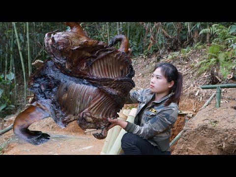 Process of preserving wild boar meat in the wild,