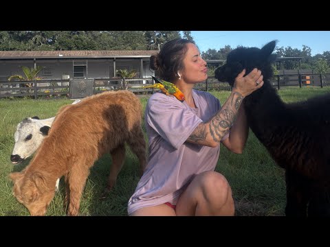Una semana en Finca La Luz | Nuevos animales, ocurrencias y