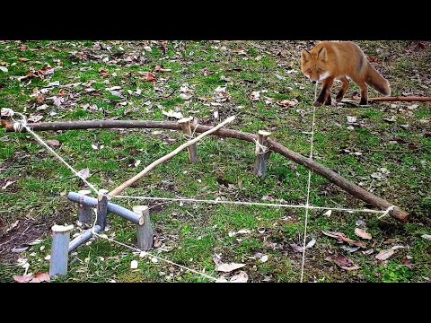 CAMP SAFETY / BUSHCRAFT SURVİVAL / Kamp güvenliği