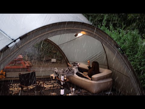 Thunder & Heavy Rain: Cozy Camping Night with My Dog Rain