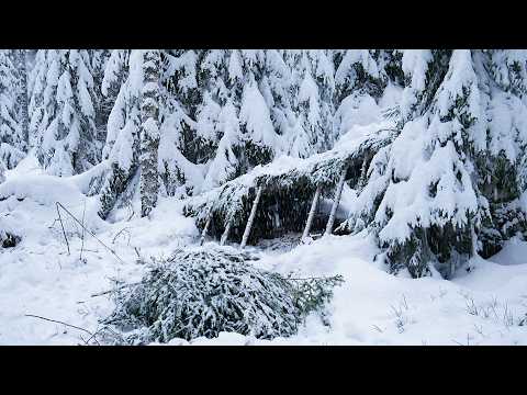 Building a Shelter to Survive HEAVY SNOW: 3 Days in a
