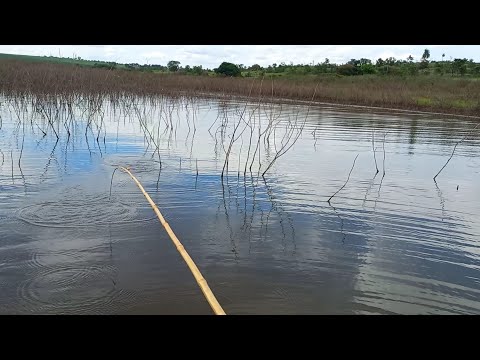 Pescaria Raiz após a piracema/no Rio marinheiro Difícil