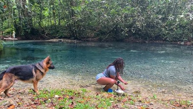 Relaxing Jungle Camping & Crayfish Catch And Cook By The