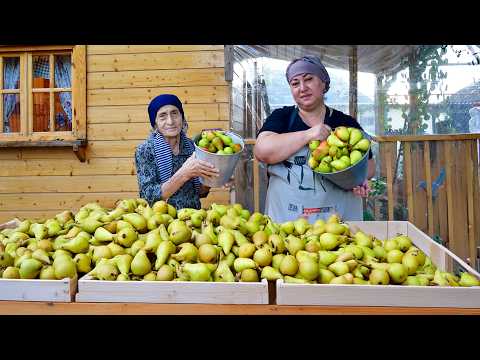 Harvesting Pears and Making Jam | Best Pear Cake Recipe
