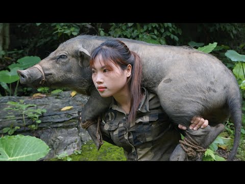 stalk wild boars, dig holes and make traps to catch wild