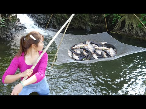 Amazing Fishing Skill - Best Net Fishing - Traditional