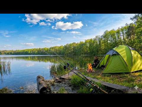 Camping on the lake, my first attempt at catching a big fish