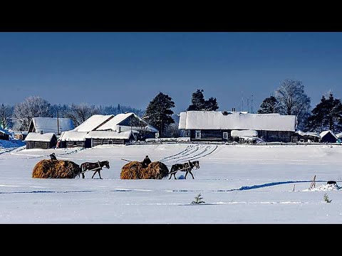 Winter Life in Russian North. Usual life of Village family