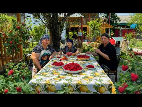 Harvesting Fresh Raspberry – Traditional Raspberry Jam &