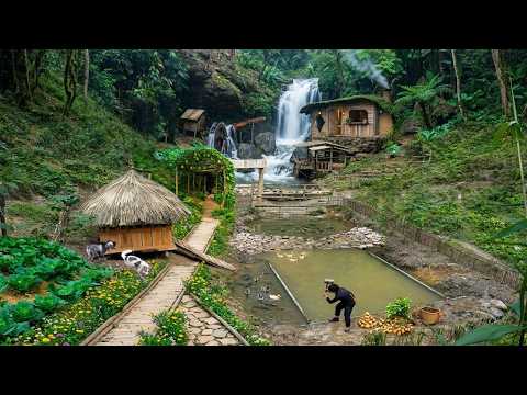Time Lapse: Peaceful Life in the Deep Forest Farming,