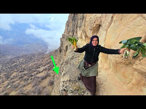 Queen of the Rocks: The Adventures of a Nomad Woman