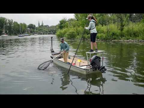 Québec : 10 jours d'aventure sur le fleuve Saint-Laurent