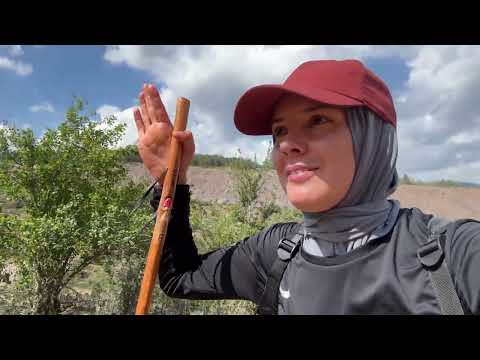 DAĞLARDA TEK BAŞINA ÇOBANLIK
