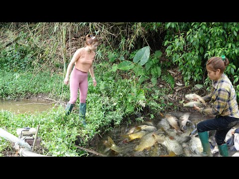 Top Fishing Videos: Survival Skills, Catch A Lot Of Fish,