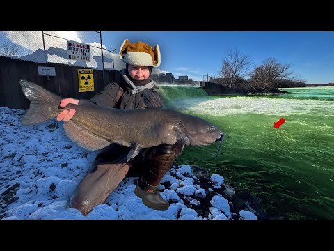 Nuclear Power Plant Fishing for Monster Catfish