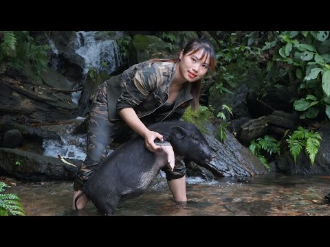 The first wild boar, when moving to new lands, the skill of