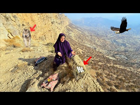 Kulthum's amazing journey for a medicinal plant: finding a