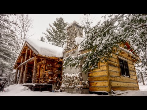 Off Grid Cabin in the Woods, Start to Finish | Building a