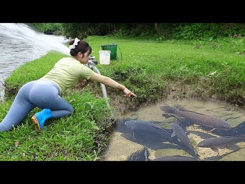 Full Video: How To Catch Fish In The Wild, Girl's Fishing