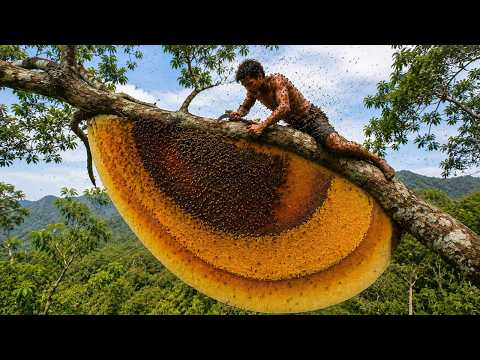 Dangerous Wild Honey Hunt Only 1% Dare Climb This 100m
