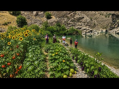 Nomadic Family's Hard Work Finally Pays Off Our Organic