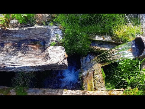 Village Life | Wellspring Walking Tour