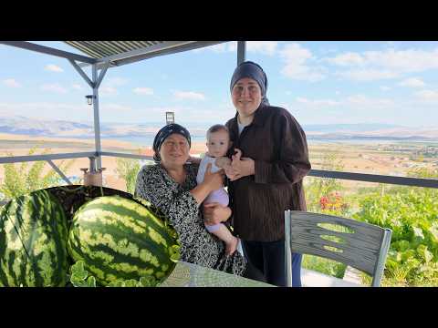 KÖYDE YAŞAM PAMUK PİRENSİMİZ VE BAHÇEMİZDE SON GELİŞMELER