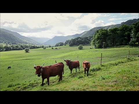 Auvergne Volcans, fromages et pierres de lave Douces