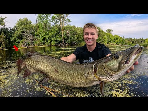 2 Day Musky Adventure - Swamp Wading, Spillway Fishing &