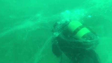 MARMARA DENİZİNİ SÜMÜKSÜ ORGANİZMA KAPLADI SCUBA DALIŞ