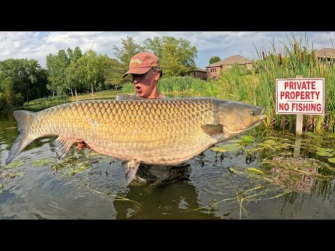 48 Hours Fishing & Camping for PRIVATE Pond MONSTERS