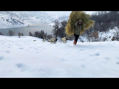 Zorlu Kış Şartlarında Dağ Köyünde Gerçek Huzuru BulmakTrue