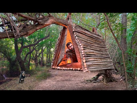 Building a Flying Shelter on a Tree: A Reliable Way to