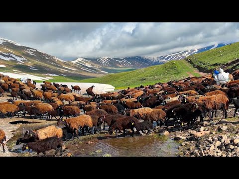 DOĞA HARİKASI YAYLALAR - DOLAN GÖLLER (5 BÖLÜM)