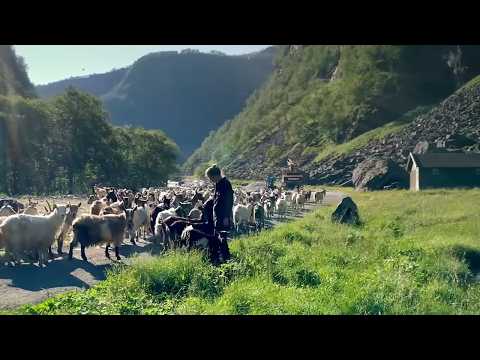 Norvège Sauvage : les peuples du Nord