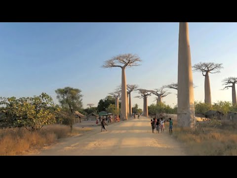 Madagascar, un éden à protéger