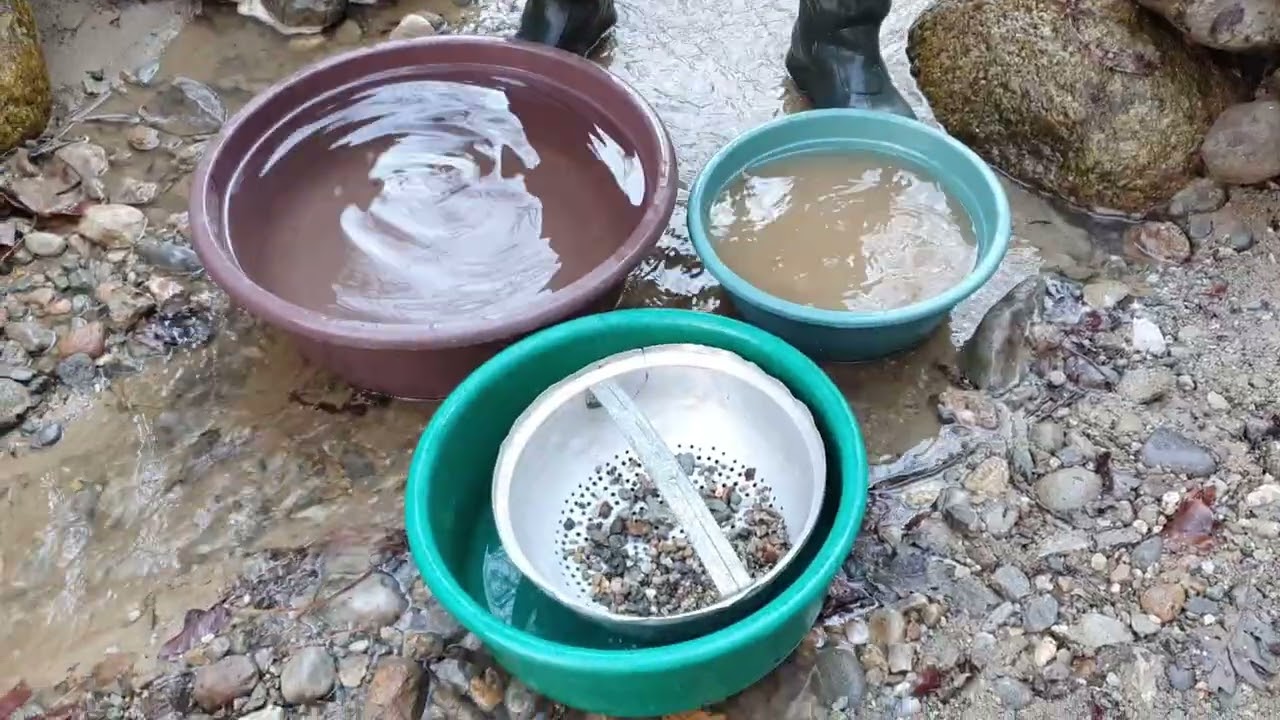 GOLD RUSH ALERT Incredible Gold Discovery in the Creek Bed