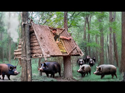 Building a hanging shelter from clay to escape from a wild