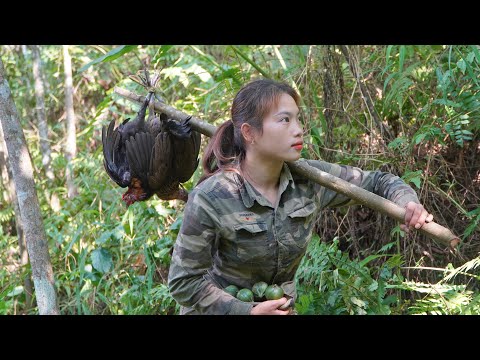 skills, catching wild chickens alive and bringing them home