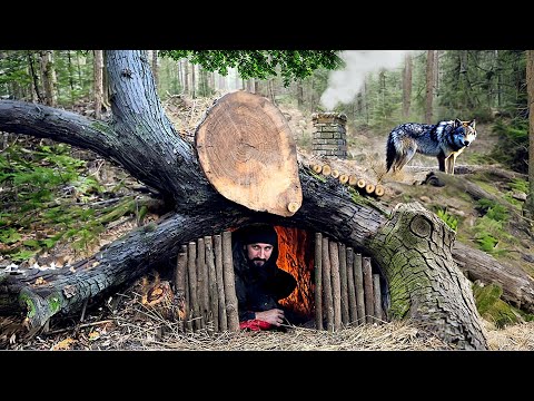 Building a secret survival dugout under a fallen tree