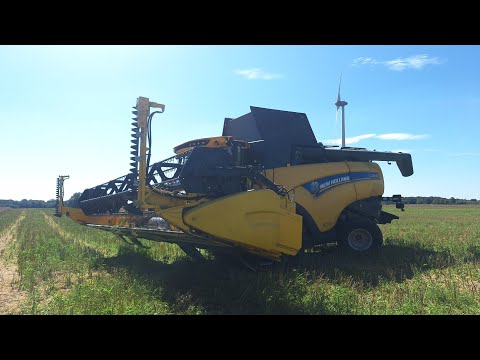 Żniwa 2026 rzepak/2x New Holland CX 8 85 CASE IH Puma 185